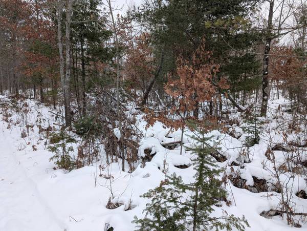 2681 BULLSEYE LN, Eagle River, WI 54521