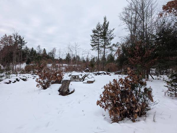 2681 BULLSEYE LN, Eagle River, WI 54521