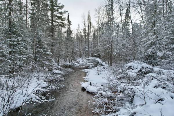 6350 CRAIGS WAY LN, Land O Lakes, WI 54540