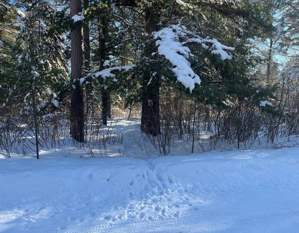 Lot 4 WILDERNESS CR, Sayner, WI 54560