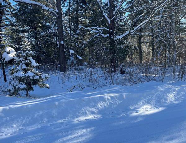 Lot 4 WILDERNESS CR, Sayner, WI 54560