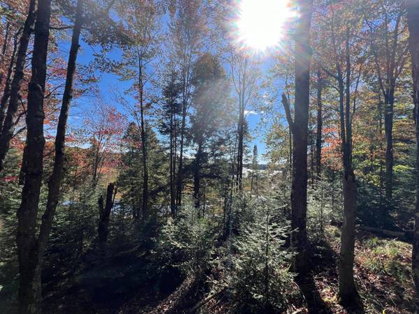 ON OTTER LN, Watersmeet, MI 49969