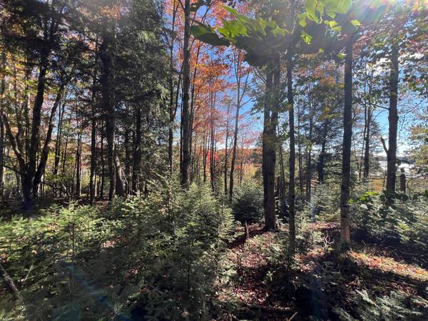 ON OTTER LN, Watersmeet, MI 49969