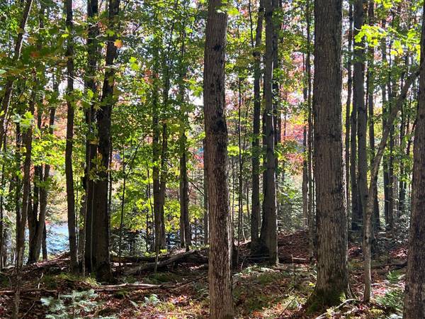 ON OTTER LN, Watersmeet, MI 49969