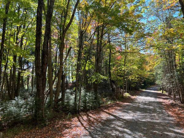 ON OTTER LN, Watersmeet, MI 49969