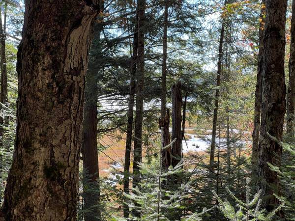 ON OTTER LN, Watersmeet, MI 49969