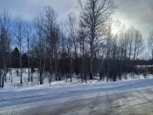 ON BATES-GAASTRA RD, Iron River, MI 49935