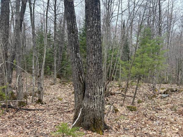 153 Acre OTHER, Negaunee, MI 49866