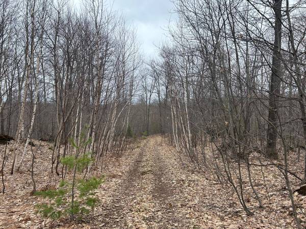 153 Acre OTHER, Negaunee, MI 49866