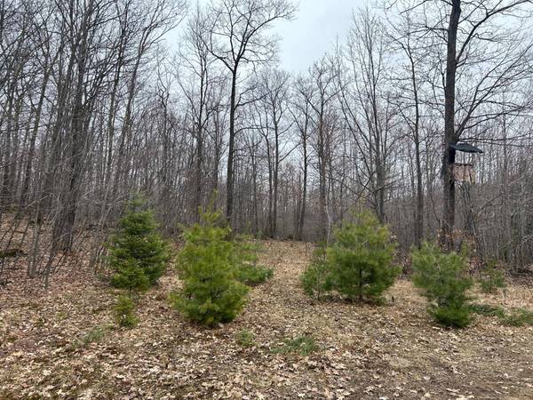 153 Acre OTHER, Negaunee, MI 49866