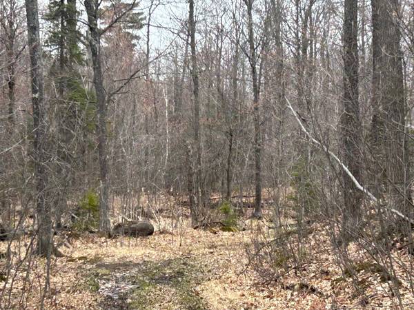 153 Acre OTHER, Negaunee, MI 49866