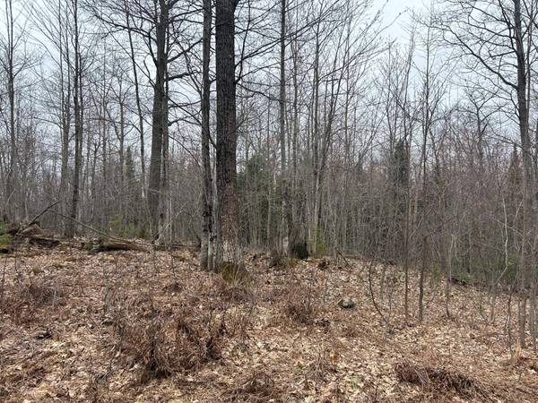 153 Acre OTHER, Negaunee, MI 49866