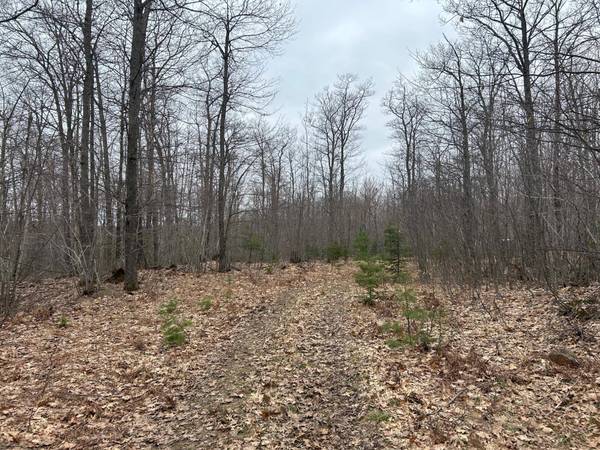 153 Acre OTHER, Negaunee, MI 49866