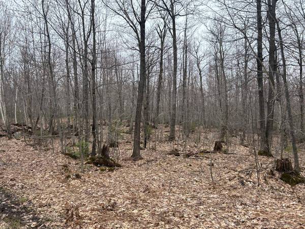 153 Acre OTHER, Negaunee, MI 49866