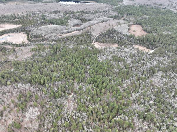 7685 OLD B RD, Land O Lakes, WI 54540