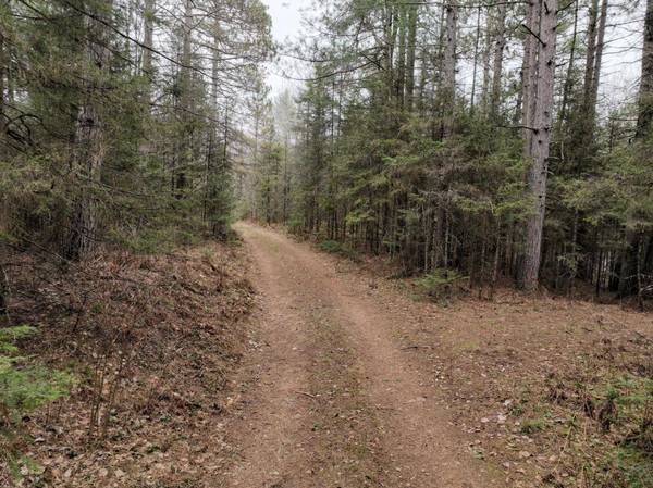 7685 OLD B RD, Land O Lakes, WI 54540