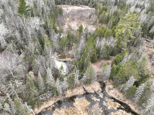 7685 OLD B RD, Land O Lakes, WI 54540