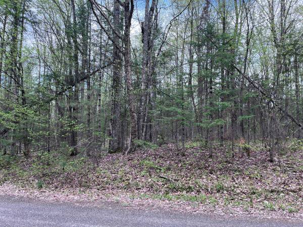 Off MOONSHINE VALLEY RD #Lot #14, Presque Isle, WI 54512