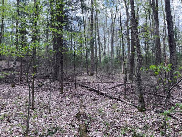 Off MOONSHINE VALLEY RD #Lot #14, Presque Isle, WI 54512