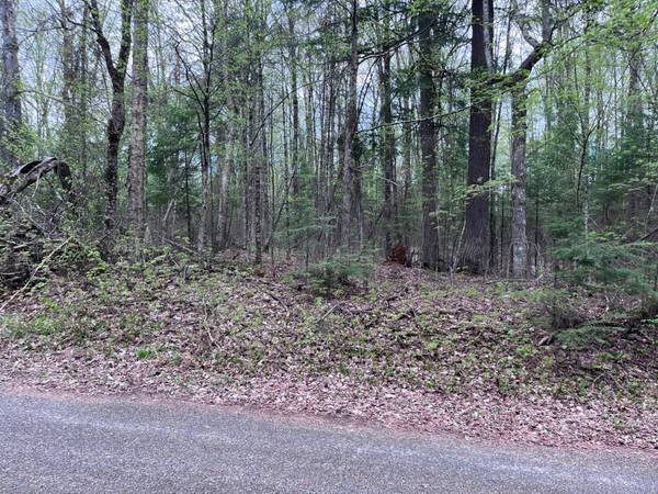 Off MOONSHINE VALLEY RD #Lot #14, Presque Isle, WI 54512