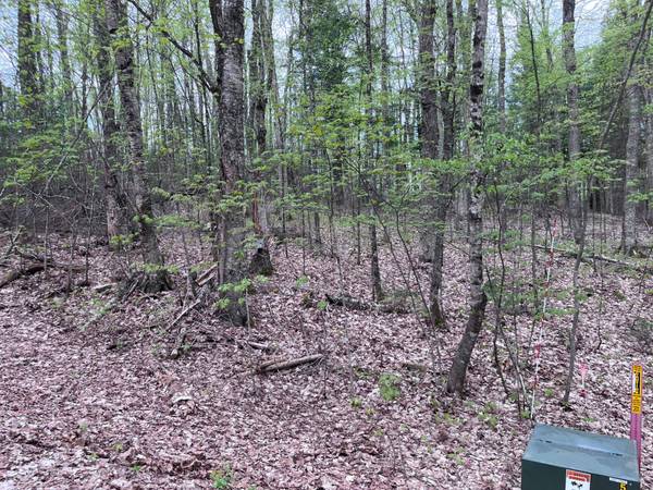 Off MOONSHINE VALLEY RD #Lot #14, Presque Isle, WI 54512