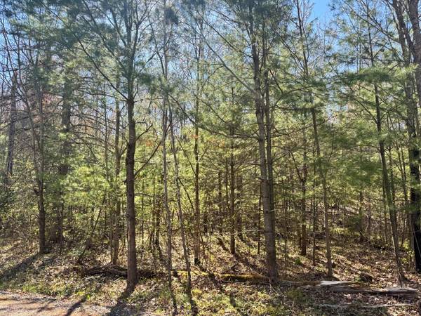 Lot 2A DEER TR, Eagle River, WI 54521