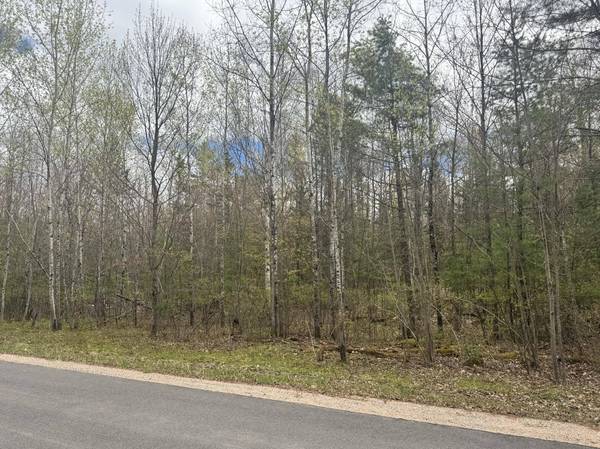 Lot 2A DEER TR, Eagle River, WI 54521