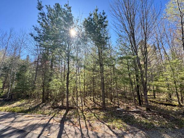 Lot 2A DEER TR, Eagle River, WI 54521