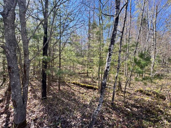 Lot 2A DEER TR, Eagle River, WI 54521