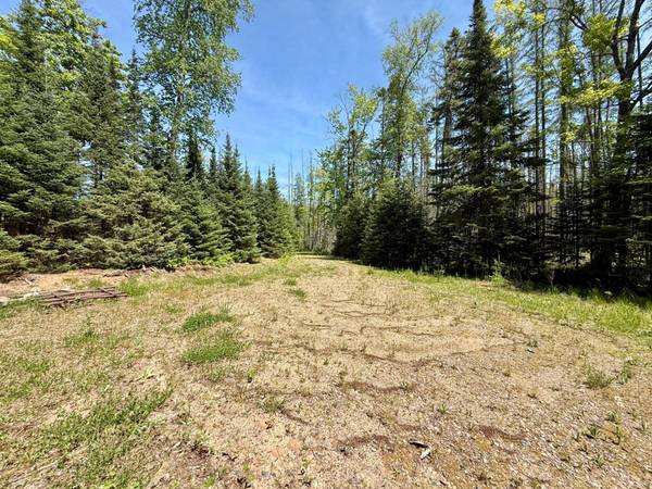 Lot 1 BRIGGS LN, Phelps, WI 54554