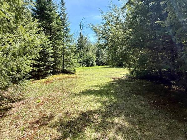 Lot 1 BRIGGS LN, Phelps, WI 54554