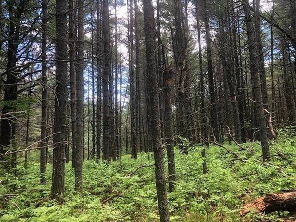 Lot on CAMP 12 RD, Eagle River, WI 54519