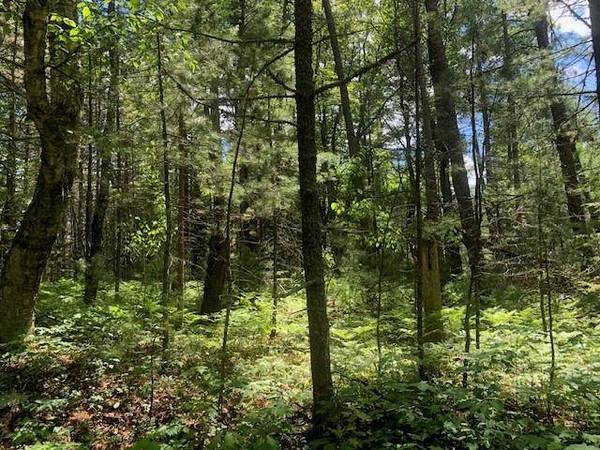 Lot on CAMP 12 RD, Eagle River, WI 54519