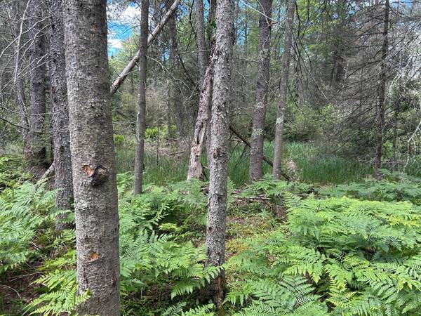 Lot off MELODY DR, St Germain, WI 54558