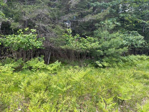 6389 CTH J, St Germain, WI 54558