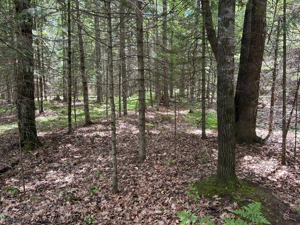 6389 CTH J, St Germain, WI 54558