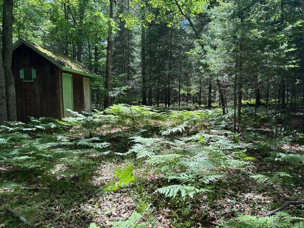 6389 CTH J, St Germain, WI 54558