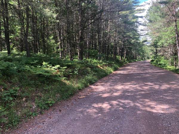 9 Acres CAMP 12 RD, Eagle River, WI 54519