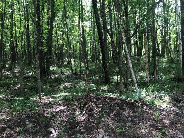 Lot on STAR LAKE RD, Eagle River, WI 54519