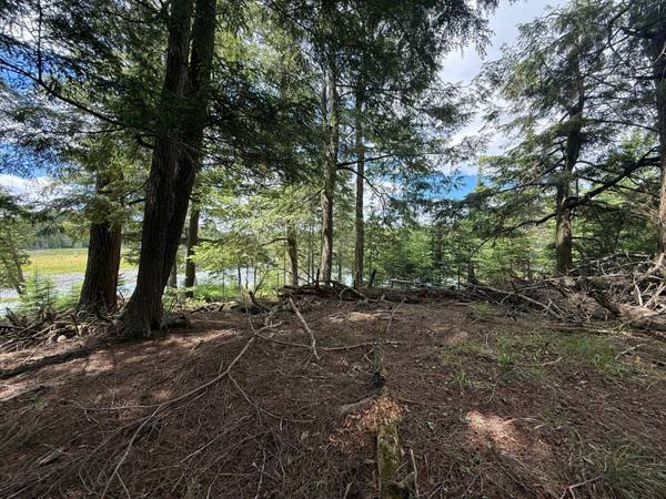 Off BOY SCOUT ISLAND RD, Watersmeet, MI 49969