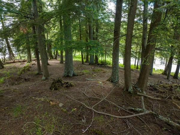 Off BOY SCOUT ISLAND RD, Watersmeet, MI 49969