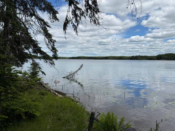 Off BOY SCOUT ISLAND RD, Watersmeet, MI 49969