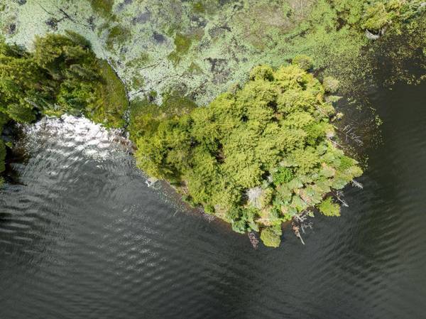 Off BOY SCOUT ISLAND RD, Watersmeet, MI 49969