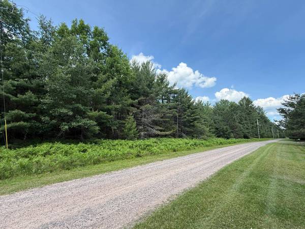 Lot 10 SPRUCE MEADOWS LN, Land O Lakes, WI 54540
