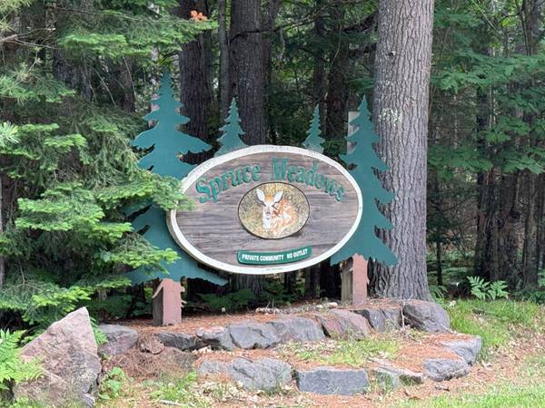 Lot 10 SPRUCE MEADOWS LN, Land O Lakes, WI 54540