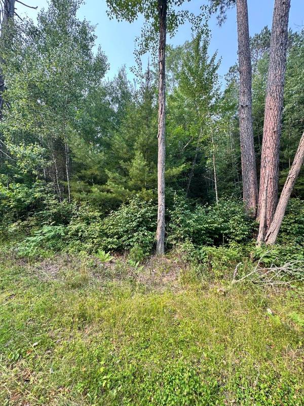 Lot 8 OAK BROOK RD, Eagle River, WI 54521