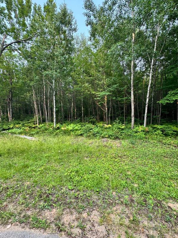 Lot 9 OAK BROOK RD