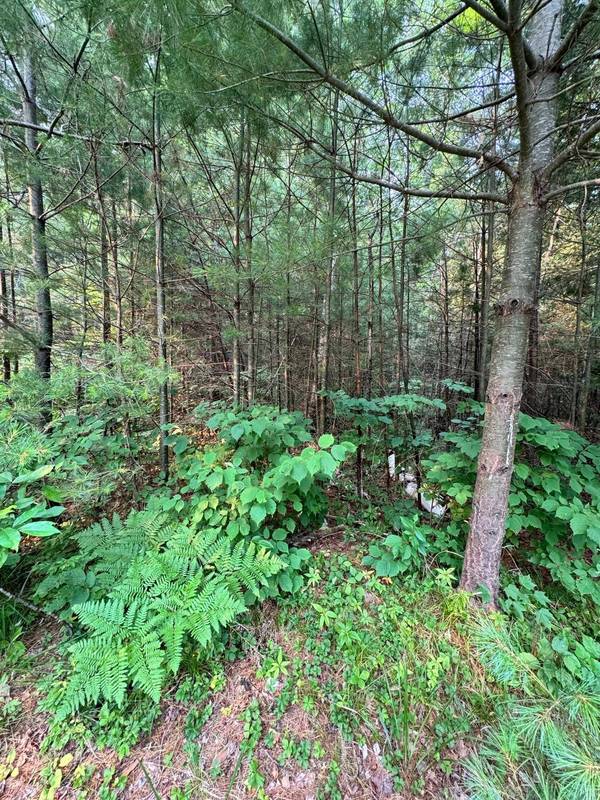 Lot 8 OAK BROOK RD, Eagle River, WI 54521