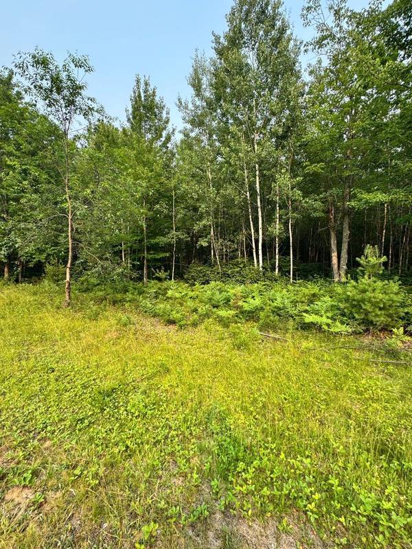 Lot 9 OAK BROOK RD, Eagle River, WI 54521
