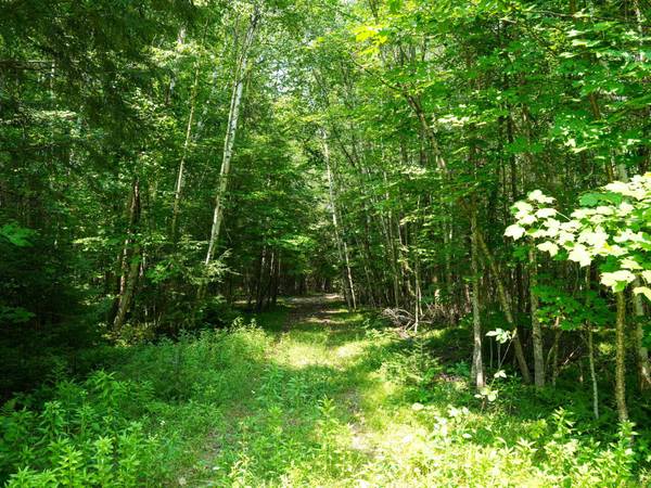 Lot 6 HWY 17, Phelps, WI 54554